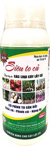 SIÊU TO CỦ